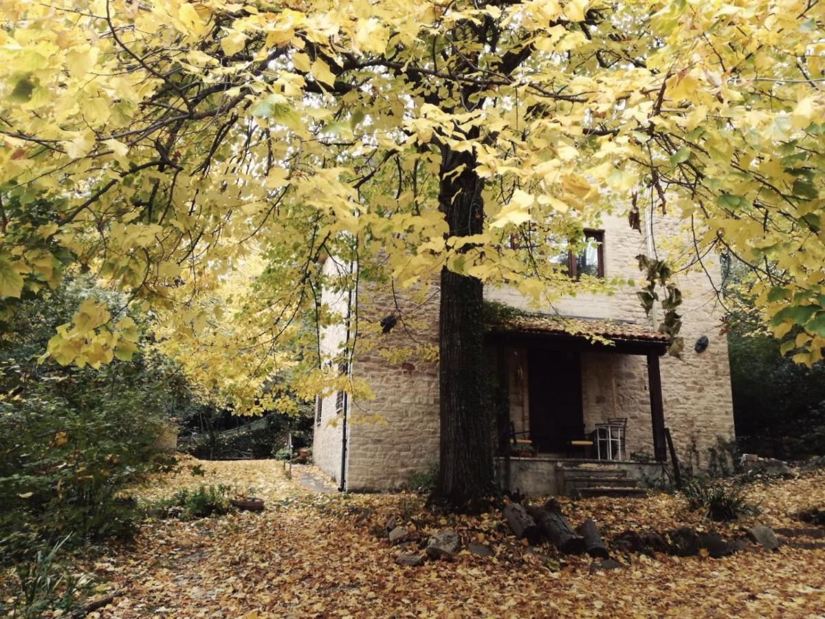La Casita Bed & Breakfast Santa Vittoria in Matenano Exterior photo