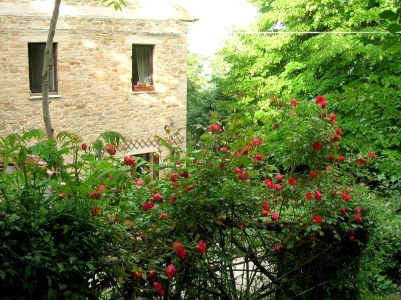 La Casita Bed & Breakfast Santa Vittoria in Matenano Exterior photo